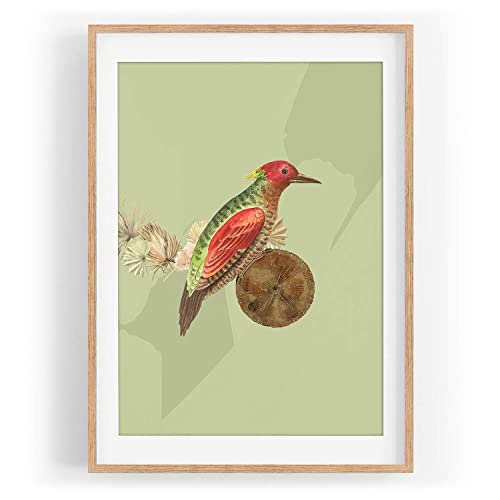 Vogel Motiv Grünspecht Specht Design Pastelltöne Farbe Motiv gerahmt Natur in A3 Vogel Motiv Grünspecht Specht Design Pastelltöne Farbe Motiv gerahmt Natur in A3 von Paul Sinus