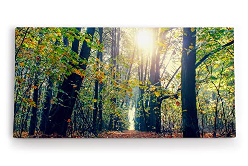 Wandbild 120x60cm Wald Bäume Baumkronen Sonnenschein Natur Grün von Paul Sinus