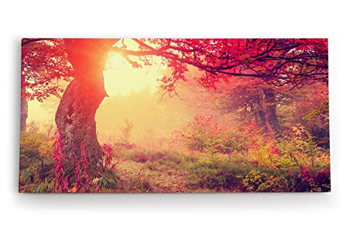 Wandbild 120x60cm Wald Herbst rote Blätter Natur Baum Eiche Sonnenschein von Paul Sinus