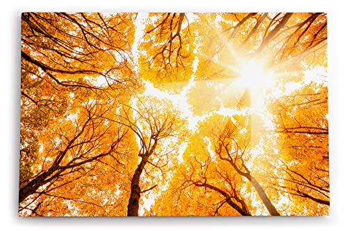 Wandbild 120x80cm Bäume Baumkronen Eiche Sonnenstrahl Sonnenschein Wald von Paul Sinus