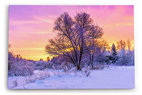Wandbild 120x80cm Baum im Winter Schnee Sonnenuntergang Natur Wald von Paul Sinus
