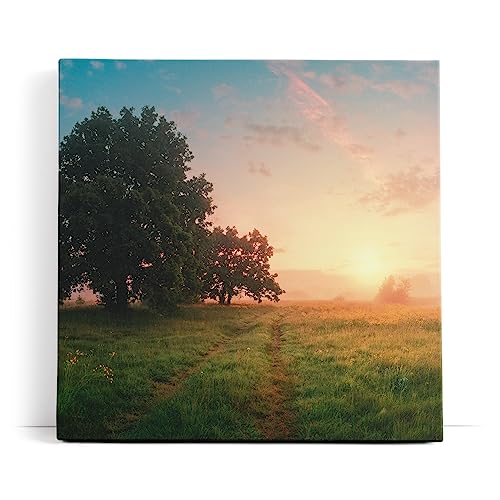 Wandbild 80x80cm Sonnenaufgang Natur Landschaft Nebel Baum Wiese von Paul Sinus