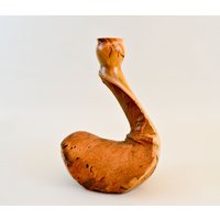 8029 Roter Eukalyptus Barely There Twig Topf/Vase - 30 cm H X 18 B von PaulRussellDesigns