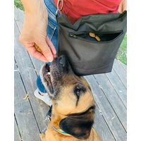 Gassitasche Hund Wasserfest | Zum Umhängen Größe M Schwarz Kotbeuteltasche Leckerlitasche Outdoorstoff Gassitasche Hund Wasserfest | Zum Umhängen Größe M Schwarz Kotbeuteltasche Leckerlitasche Outdoorstoff von PaulisaManufaktur