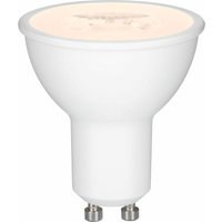 PAULMANN LED-Leuchtmittel URAIL, Kunststoff PAULMANN LED-Leuchtmittel URAIL, Kunststoff von Paulmann Licht