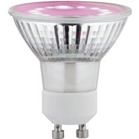 Paulmann - LED-Pflanzenlampe Wachstum 230 v GU10 3.5 w Bernstein 1 St. von Paulmann