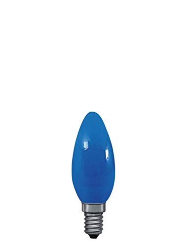 Paulmann 40224 Glühlampe Kerze Leuchtmittel 25Watt E14-Sockel Blau 230V 1 Lumen Paulmann 40224 Glühlampe Kerze Leuchtmittel 25Watt E14-Sockel Blau 230V 1 Lumen von Paulmann