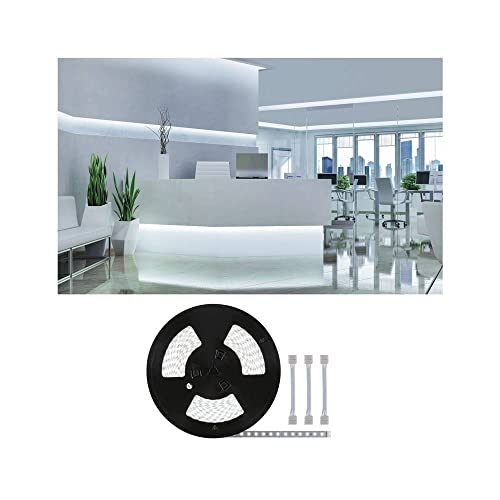 Paulmann 71043 LED Stripe MaxLED 500 20m Tageslichtweiß 6500K IP20 incl. 1x72 Watt dimmbar Silber Kunststoff Paulmann 71043 LED Stripe MaxLED 500 20m Tageslichtweiß 6500K IP20 incl. 1x72 Watt dimmbar Silber Kunststoff von Paulmann