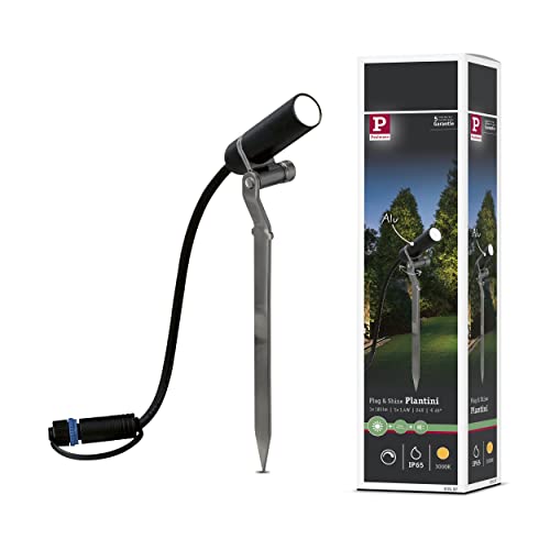 Paulmann 939.97 Outdoor Plug & Shine Spotlight Plantini 3000K 2,5W 24V 40° Anthrazit Alu 93997 Ausse von Paulmann