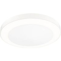 Paulmann Circula 94528 LED-Außenwandleuchte mit Bewegungsmelder 14W Beige von Paulmann