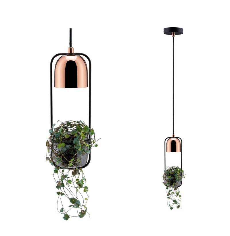 Paulmann Hängelampe Fanja mit Pflanzgefäß von Paulmann