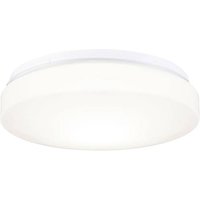 Paulmann HomeSpa Axin 78898 Bad-Wandleuchte Weiß von Paulmann