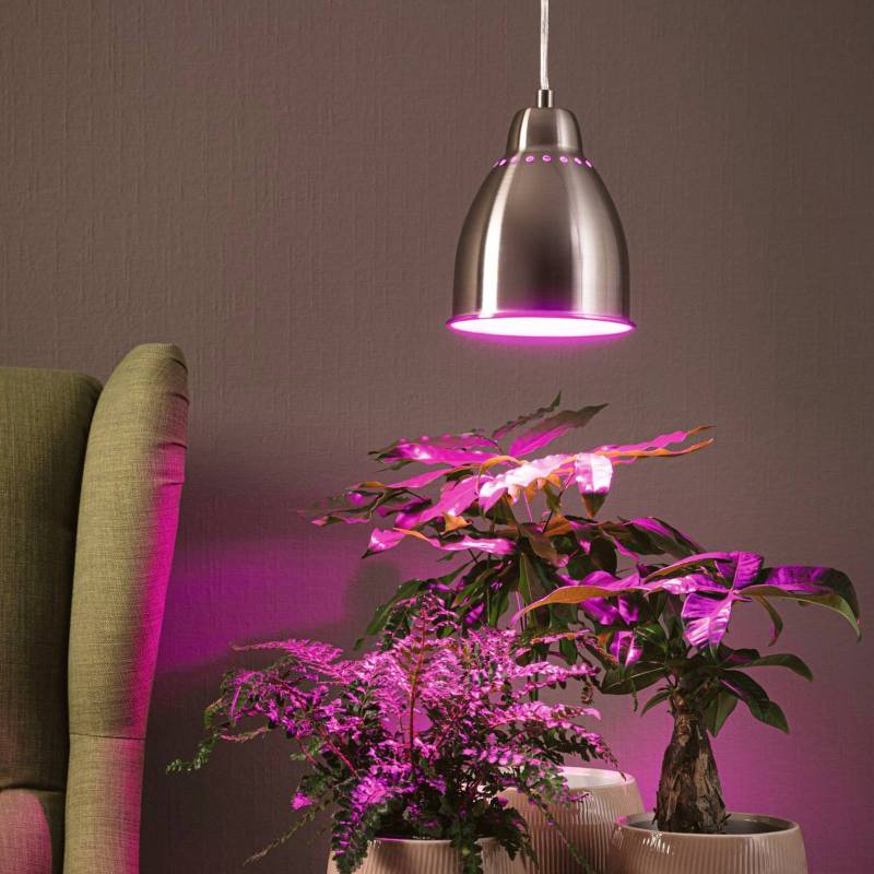 Paulmann Neordic Hilla Hängeleuchte, eisen gebürst von Paulmann