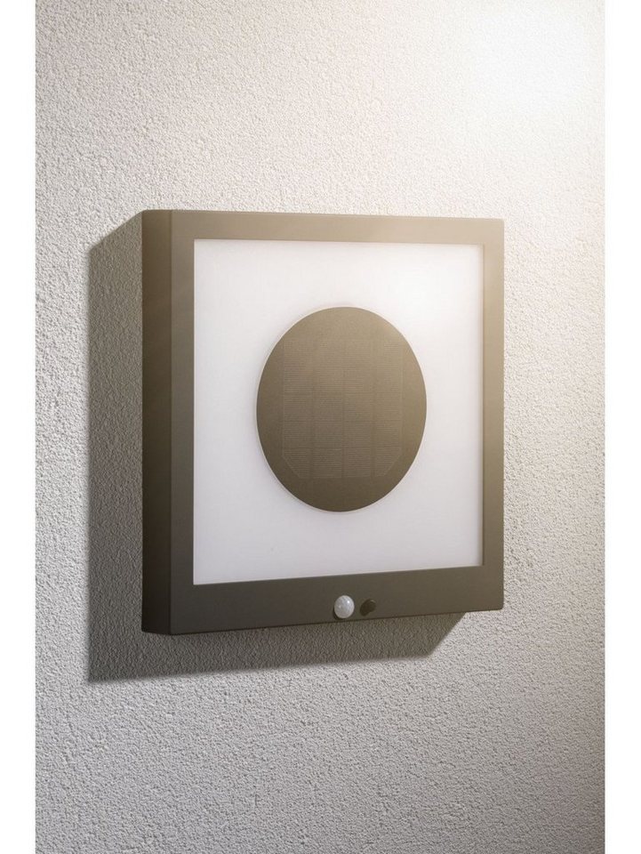 Paulmann Wandleuchte Paulmann Outdoor Solar Panel Taija anthrazit, Inkl. Leuchtmittel, Mit Bewegungsmelder nicht dimmbar nicht Smart Home-fähig von Paulmann