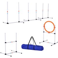 PawHut Hunde-Trainingsset, BxHxL: 65 x 94,5 x 328 cm - bunt von PawHut