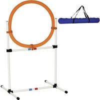 PawHut Hunde-Trainingsset, Kunststoff, Länge: 74,5 cm von PawHut