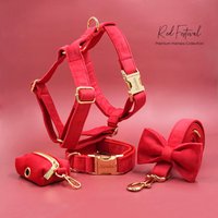 Personalisierte Gravur Handgemachte Hundehalsband, Passende Fliege, Leine, Geschirr Und Poop Tasche in Rot Gold, Ideal Für Neujahr Weihnachten von PawID