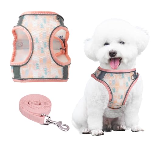 PawSailor Hundegeschirr Und Leine-Set Zum Spazierengehen, Blumendruck, Kein Ziehen, Weiches Mesh, Atmungsaktiv, Reflektierend, Verstellbar, Haustierweste, Geschirr Für Kleine Hunde, Katzen, Koralle, S PawSailor Hundegeschirr Und Leine-Set Zum Spazierengehen, Blumendruck, Kein Ziehen, Weiches Mesh, Atmungsaktiv, Reflektierend, Verstellbar, Haustierweste, Geschirr Für Kleine Hunde, Katzen, Koralle, S von PawSailor