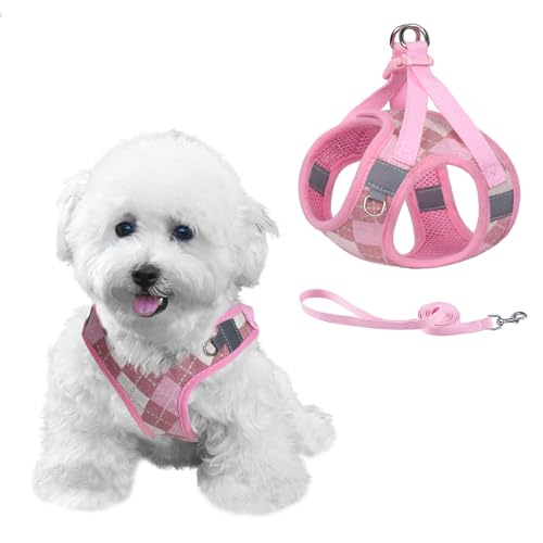 PawSailor No Pull Kleines Hundegeschirr Einstellbar Einsteigen Plaid Weiches Mesh Bulldoggengeschirr mit Leine, Reflektierend Ausbruchsicher Welpenwestengeschirr, Leicht zu Laufen, Rosa S PawSailor No Pull Kleines Hundegeschirr Einstellbar Einsteigen Plaid Weiches Mesh Bulldoggengeschirr mit Leine, Reflektierend Ausbruchsicher Welpenwestengeschirr, Leicht zu Laufen, Rosa S von PawSailor