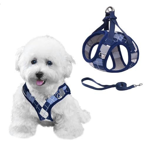 PawSailor Step-in-Hundegeschirr für extra kleine Hunde und Katzen, kein Ziehen, Kariertes, ausbruchsicheres Welpengeschirr mit Leine, verstellbar, reflektierend für sicheren Spaziergang, Blau, XXS PawSailor Step-in-Hundegeschirr für extra kleine Hunde und Katzen, kein Ziehen, Kariertes, ausbruchsicheres Welpengeschirr mit Leine, verstellbar, reflektierend für sicheren Spaziergang, Blau, XXS von PawSailor