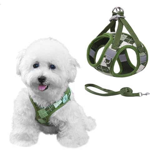 PawSailor Step-in-Hundegeschirr für extra kleine Hunde und Katzen, kein Ziehen, Kariertes, ausbruchsicheres Welpengeschirr mit Leine, verstellbar, reflektierend für sicheren Spaziergang, Grün, XXS PawSailor Step-in-Hundegeschirr für extra kleine Hunde und Katzen, kein Ziehen, Kariertes, ausbruchsicheres Welpengeschirr mit Leine, verstellbar, reflektierend für sicheren Spaziergang, Grün, XXS von PawSailor
