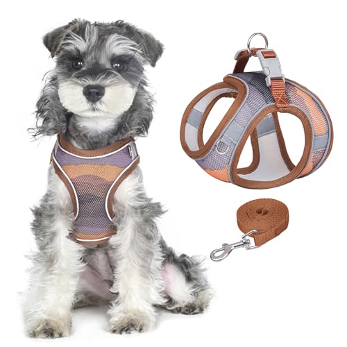 PawSailor No Pull Hundegeschirr Und Leinen-Set, Weiches Netzgewebe, Atmungsaktiv, Step-In, Verstellbar, Bedruckt, Reflektierend, Ausbruchsicher, Für Kleine Und Mittelgroße Hunde, Braun L PawSailor No Pull Hundegeschirr Und Leinen-Set, Weiches Netzgewebe, Atmungsaktiv, Step-In, Verstellbar, Bedruckt, Reflektierend, Ausbruchsicher, Für Kleine Und Mittelgroße Hunde, Braun L von PawSailor