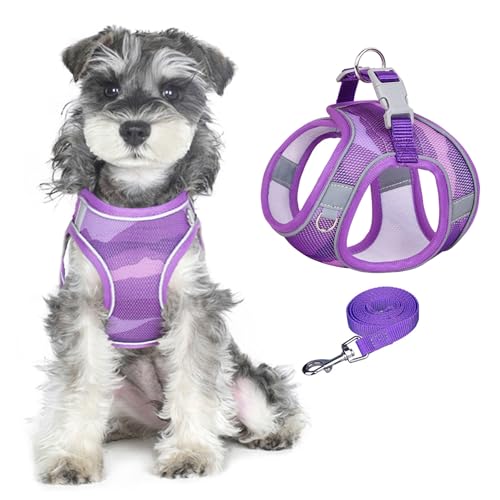 PawSailor Step-In-Hundegeschirr Für Kleine Hunde, Kein Ziehen, Verstellbares, Weiches Netzgewebe, Atmungsaktives Brustgeschirr, Leicht, Bequem Für Einfaches Spazierengehen, Lila S PawSailor Step-In-Hundegeschirr Für Kleine Hunde, Kein Ziehen, Verstellbares, Weiches Netzgewebe, Atmungsaktives Brustgeschirr, Leicht, Bequem Für Einfaches Spazierengehen, Lila S von PawSailor