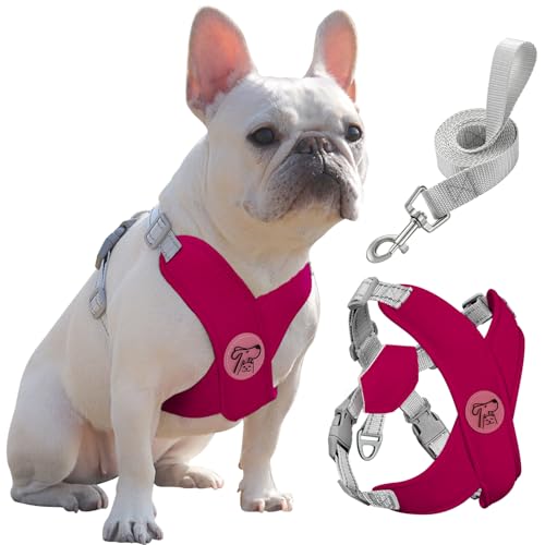 Pawaboo Hundegeschirr mit Hundeleine Set, X-Rahmen Verstellbares Anti Zug Anti-Erstickung Hund Brustgeschirr für Kleine, Mittelgroße Hunde & Welpen, Atmungsaktive Hundeweste mit Leine, L, Magenta Pawaboo Hundegeschirr mit Hundeleine Set, X-Rahmen Verstellbares Anti Zug Anti-Erstickung Hund Brustgeschirr für Kleine, Mittelgroße Hunde & Welpen, Atmungsaktive Hundeweste mit Leine, L, Magenta von Pawaboo