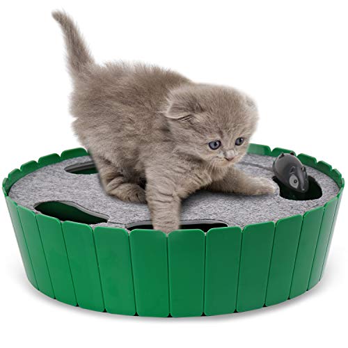 Pawaboo Katzenspielzeug Elektrische Maus, Interaktiv Kätzchen Spielzeug Katzenbett Kratzmatte Katzenminze, Süß und Sicher Spielzeug Spielball für Kleine Katze Spiel Beißen Kauen - Grün von Pawaboo