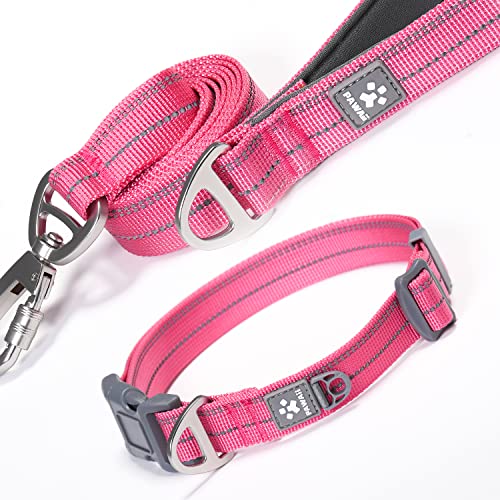 Pawaii Hundeleine und Halsband Set, Hundeleine und Halsband für Große Hunde, Verstellbar Hundelene mit Karabiner und Gepolsterer Griff, Schleppleine für Hunde mit Reflektierend Streifen von Pawaii