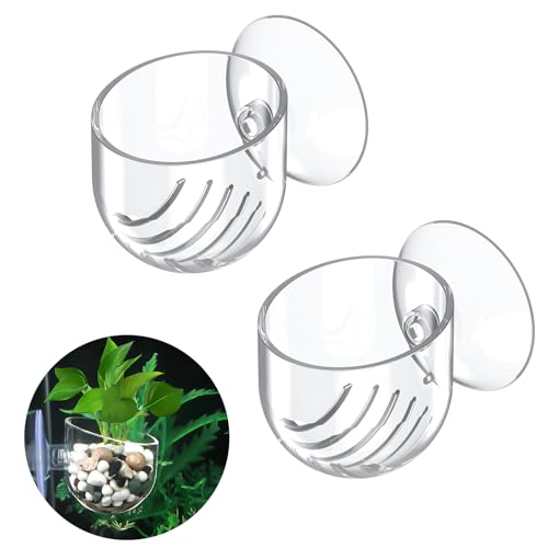 Pawfly 2 Stück klare Aquarien Pflanzenhalter aus Kunststoff für Fischbecken mit Saugnapf Aquarien Pflanzbecher für Aquascape Deko inklusive Rotwurm Fischfutter Pawfly 2 Stück klare Aquarien Pflanzenhalter aus Kunststoff für Fischbecken mit Saugnapf Aquarien Pflanzbecher für Aquascape Deko inklusive Rotwurm Fischfutter von Pawfly