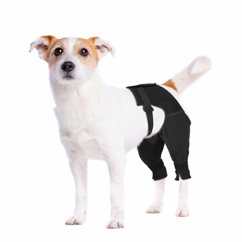 Pawfun Hunde-Hinterbeinmanschette gegen Lecken, atmungsaktive Anti-Rutsch-Wiederherstellungsmanschette für Wundschutz nach ACL/TPLO-Operationen, Hot Spots, Leckgranulome, Alternative für Beinheilung Pawfun Hunde-Hinterbeinmanschette gegen Lecken, atmungsaktive Anti-Rutsch-Wiederherstellungsmanschette für Wundschutz nach ACL/TPLO-Operationen, Hot Spots, Leckgranulome, Alternative für Beinheilung von Pawfun