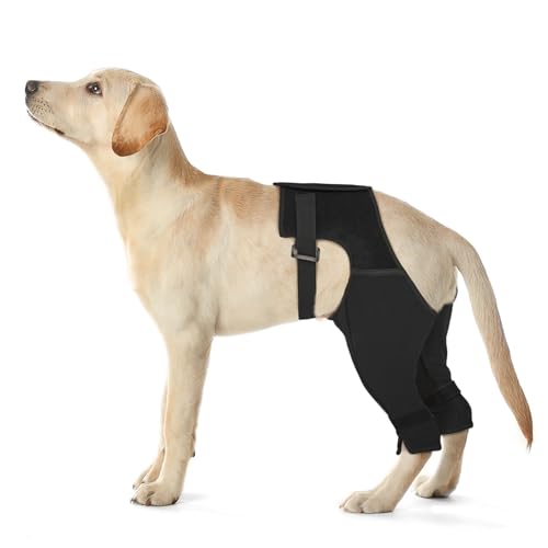 Pawfun Hunde-Hinterbeinmanschette gegen Lecken, atmungsaktive Anti-Rutsch-Wiederherstellungsmanschette für Wundschutz nach ACL/TPLO-Operationen, Hot Spots, Leckgranulomen – Alternative für die Pawfun Hunde-Hinterbeinmanschette gegen Lecken, atmungsaktive Anti-Rutsch-Wiederherstellungsmanschette für Wundschutz nach ACL/TPLO-Operationen, Hot Spots, Leckgranulomen – Alternative für die von Pawfun