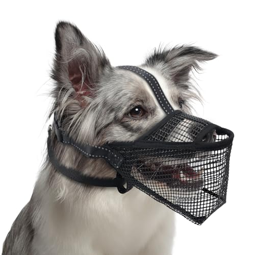 Pawfun Mesh Hund Maulkorb, Atmungsaktiver weicher Hund Maulkorb mit 3 reflektierenden Riemen für sicheren Sitz, verhindert Beißen, Kauen Scavenging - Einstellbar für Kleine Mittlere Große Hunde, M Pawfun Mesh Hund Maulkorb, Atmungsaktiver weicher Hund Maulkorb mit 3 reflektierenden Riemen für sicheren Sitz, verhindert Beißen, Kauen Scavenging - Einstellbar für Kleine Mittlere Große Hunde, M von Pawfun