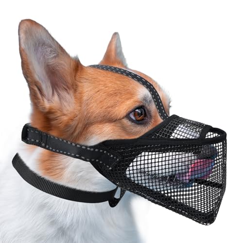 Pawfun Mesh Hund Maulkorb, Atmungsaktiver weicher Hund Maulkorb mit 3 reflektierenden Riemen für sicheren Sitz, verhindert Beißen, Kauen Scavenging - Einstellbar für Kleine Mittlere Große Hunde, S Pawfun Mesh Hund Maulkorb, Atmungsaktiver weicher Hund Maulkorb mit 3 reflektierenden Riemen für sicheren Sitz, verhindert Beißen, Kauen Scavenging - Einstellbar für Kleine Mittlere Große Hunde, S von Pawfun