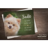 Benutzerdefinierte Haustier-Fotodecke - Personalisierte Decke Haustierverlust-Geschenk Hunde-Gedenkgeschenk Muttertagsgeschenk Individuelle von Pawpillo
