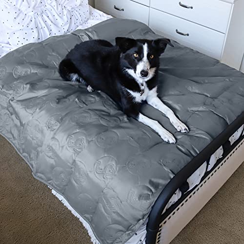 Pawsee wasserdichte Hundedecke für Couch, Waschbare Haustier-Couch-Abdeckung, rutschfeste Bettsofa-Möbelschutzmatte 150 x 120 cm Grau von Pawsee