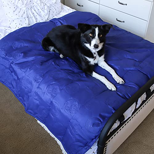 Pawsee wasserdichte Hundedecke für Couch, Waschbare Haustier-Couch-Abdeckung, rutschfeste Bettsofa-Möbelschutzmatte 150 x 120 cm Marine von Pawsee