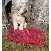 Hundedecke, Royal Stewart Tartan Haustier Adoption Tagesdecke, Babyparty Decke, Runde Werfen Für Hunde Mama Und Papa von PawsitivelyDazzled