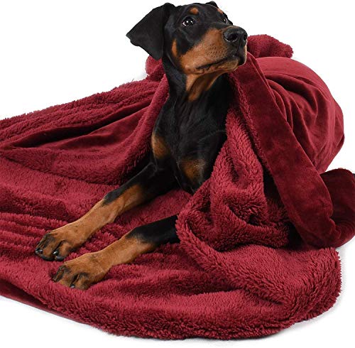 Fleece Haustierdecke Flauschig Waschbar Sherpa Plüsch Kuscheldecke Hundebett für Hunde Welpen Katzen,152x127 cm von Pawsee