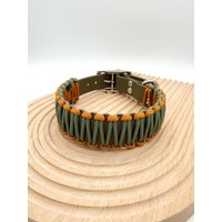 Hundehalsband Aus Biothane Mit Paracord | Sofortkauf Hundehalsband Aus Biothane Mit Paracord | Sofortkauf von PawstylebynaddiDE