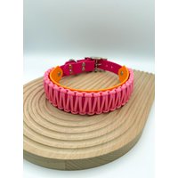 Hundehalsband Aus Biothane Und Paracord | Sofortkauf Hundehalsband Aus Biothane Und Paracord | Sofortkauf von PawstylebynaddiDE