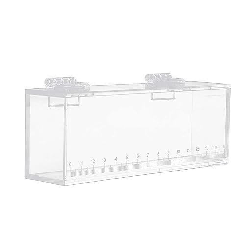 Fischbeobachtungsbox, Acryl, Fischeier-Zuchtkoffer, Aquarium, Isolation, Brutkasten, Brutkasten, 10 x 5 x 2,5 cm, L Fischbeobachtungsbox, Acryl, Fischeier-Zuchtkoffer, Aquarium, Isolation, Brutkasten, Brutkasten, 10 x 5 x 2,5 cm, L von PawwJoy