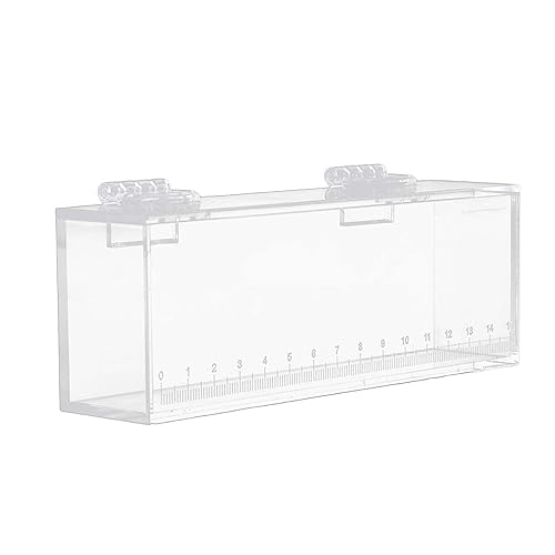 Fischbeobachtungsbox Angeln Foto Tank Brutkasten Inkubator Acryl Tragbare Aufbewahrungsbox Fisch Eier Zucht Fall Isolation Züchter Box Fotobox S von PawwJoy