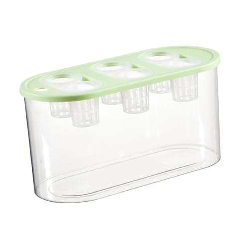 Hydrokultur-Züchterbox, Mikro-Landschafts-Tank mit 6 Löchern, für den Innenbereich, Mini-Aquarium für Gemüse, Pflanzen und Fisch, Grün Hydrokultur-Züchterbox, Mikro-Landschafts-Tank mit 6 Löchern, für den Innenbereich, Mini-Aquarium für Gemüse, Pflanzen und Fisch, Grün von PawwJoy