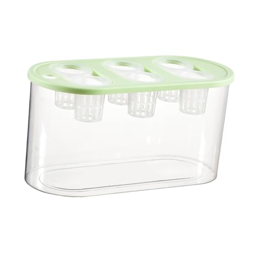 Hydrokultur-Züchterbox mit 6 Löchern, für den Innenbereich, Mini-Aquarium zum Bepflanzen, Kultivieren, Blumenarrangement, Vase, Grün Hydrokultur-Züchterbox mit 6 Löchern, für den Innenbereich, Mini-Aquarium zum Bepflanzen, Kultivieren, Blumenarrangement, Vase, Grün von PawwJoy