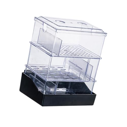 PawwJoy Aquarium-Filterbox zum Aufhängen, 2-lagig, mit Schublade, transparentes Filtersystem für Süß- und Salzwasseraquarien PawwJoy Aquarium-Filterbox zum Aufhängen, 2-lagig, mit Schublade, transparentes Filtersystem für Süß- und Salzwasseraquarien von PawwJoy