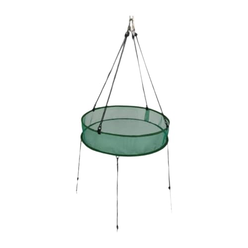 PawwJoy Vogelfutterschale für den Außenbereich, Garten, Hängetablett, einfache Installation, zuverlässiger Aufhängering für Vogelfutterstation, Grün PawwJoy Vogelfutterschale für den Außenbereich, Garten, Hängetablett, einfache Installation, zuverlässiger Aufhängering für Vogelfutterstation, Grün von PawwJoy