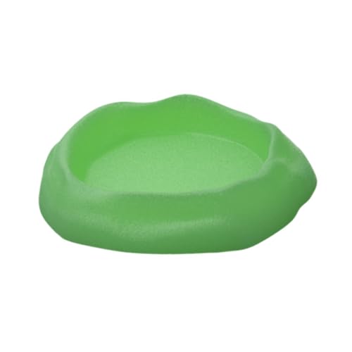 Reptilien-Wassernapf, flach, Terrarium, Dekoration für Frosch, Einsiedler, Krabben, Bartdrache, Leopard, Gecko, Brutbox, Grün Reptilien-Wassernapf, flach, Terrarium, Dekoration für Frosch, Einsiedler, Krabben, Bartdrache, Leopard, Gecko, Brutbox, Grün von PawwJoy