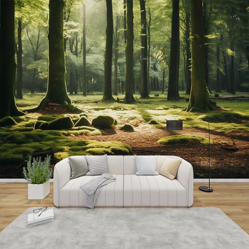 PaxGloz Fototapete 3D Effekt Wald Tapete Mooswald Tapeten Vliestapete Modern Wandtapete Wohnzimmer Schlafzimmer Kinderzimmer Wanddeko Motivtapeten 350 x 256 cm (B x H) von PaxGloz